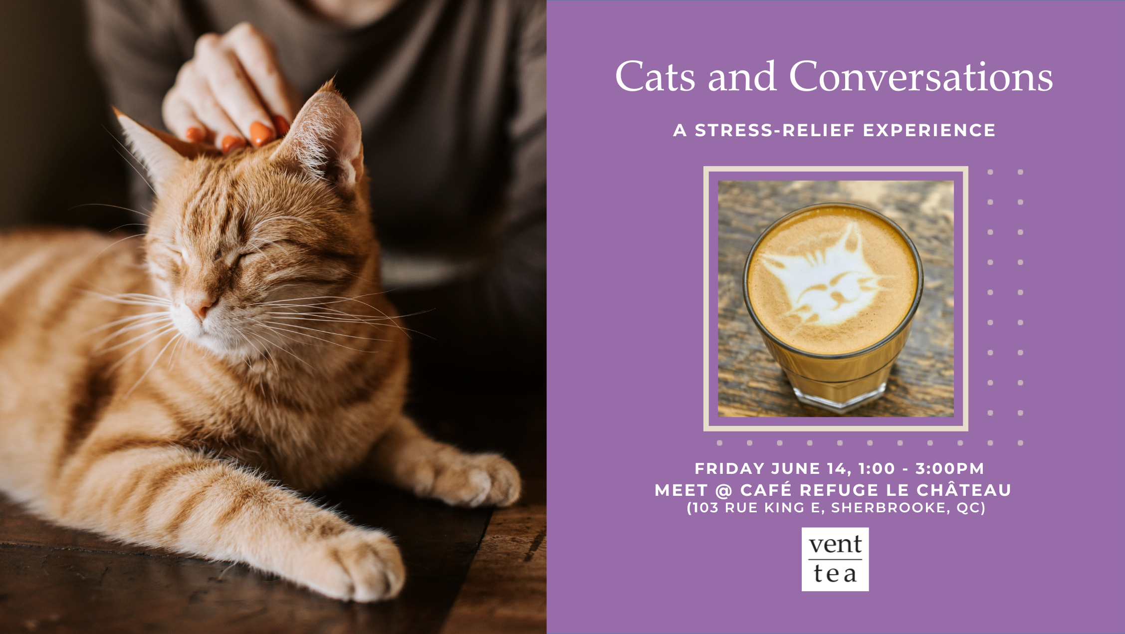 Cats and Conversations: A Stress-Relief Experience